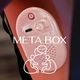 Metabox AI Chat