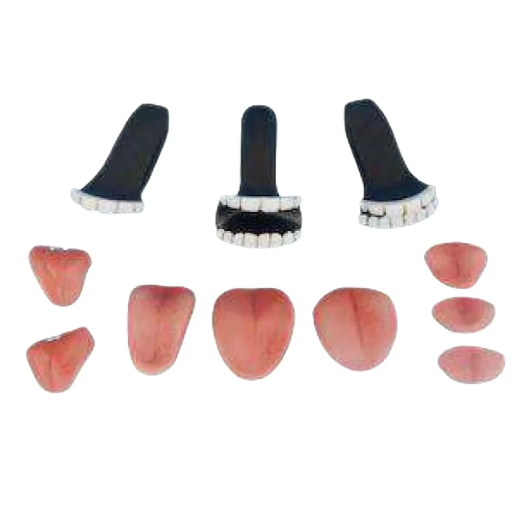 Sex Doll Teeth & Tongue Kit 02