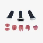 Sex Doll Vampire Teeth & Tongue Kit 01