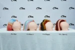 PA-Theory: This full-view comparison image displays the rear-quarter perspective of four different product models lined up from left to right, visually highlighting the unique variations in their tail designs, colors, and side-rear profiles.