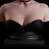 Torso Bust