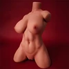 Torso