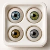 The Other Eyes