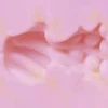 Softer Internal Vagina