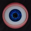#06