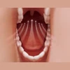 Auto Oral Sucking Function